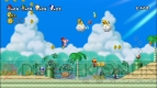 『New スーパーマリオブラザーズWii』