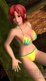 『DEAD OR ALIVE Paradise』