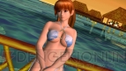 『DEAD OR ALIVE Paradise』
