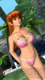 『DEAD OR ALIVE Paradise』