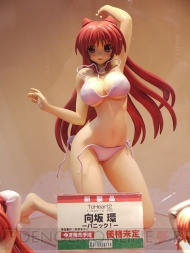 ワンダーフェスティバル2010［冬］