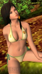 『DEAD OR ALIVE Paradise』