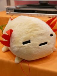 プライズフェア