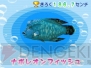 『みんなの水族館』