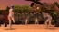 『DEAD OR ALIVE Paradise』