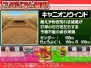 『プロ野球 ファミスタDS 2010』