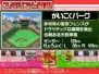 『プロ野球 ファミスタDS 2010』