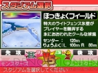 『プロ野球 ファミスタDS 2010』