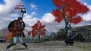 『戦国BASARA3』