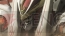 『Another Century’s Episode：R』