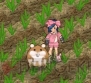 『Angel Love Online』