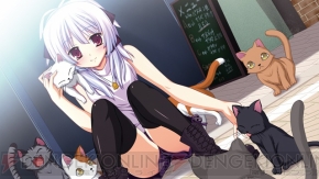 『fortissimo//Akkord：Bsusvier』