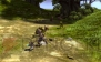 『ドラゴンネスト』