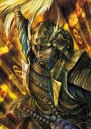 『戦国絵札遊戯 不如帰 大乱』