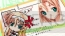 『恋する乙女と守護の楯 Portable』