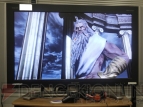 『HD液晶モニター3』