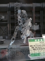 ワンダーフェスティバル2010［夏］