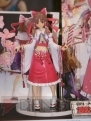 ワンダーフェスティバル2010［夏］