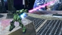 『機動戦士ガンダム EXTREME VS.』
