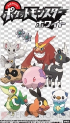『ポケットモンスターブラック・ホワイト』