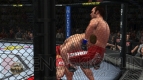 『UFC アンディスピューテッド 2010』
