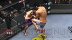 『UFC アンディスピューテッド 2010』