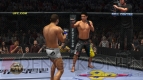 『UFC アンディスピューテッド 2010』