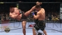 『UFC アンディスピューテッド 2010』