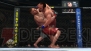 『UFC アンディスピューテッド 2010』