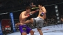 『UFC アンディスピューテッド 2010』