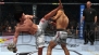 『UFC アンディスピューテッド 2010』