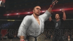 『UFC アンディスピューテッド 2010』