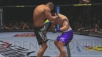 『UFC アンディスピューテッド 2010』