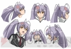 『百花繚乱 サムライガールズ』