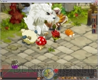 『Dofus（ドフス）』