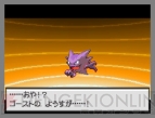 『ポケットモンスターブラック・ホワイト』