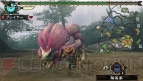 『モンスターハンターポータブル 3rd』