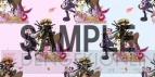 『不思議のダンジョン 風来のシレン5 フォーチュンタワーと運命のダイス』