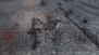 『Fallout: New Vegas』