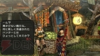 『モンスターハンターポータブル 3rd』