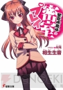 11月の電撃文庫