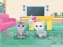 『かわいい子猫DS3』