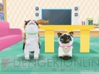 『かわいい子猫DS3』