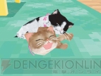 『かわいい子猫DS3』