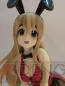 WF 2011［冬］