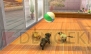 『nintendogs＋cats』