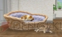 『nintendogs＋cats』