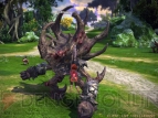 『TERA』