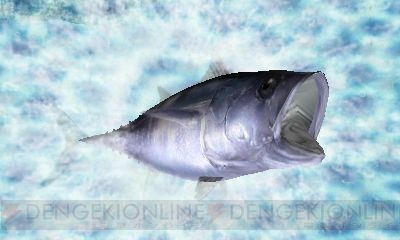 40種以上の魚が登場する フィッシュアイズ 3d 6月23日に発売 電撃オンライン