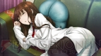 『STEINS；GATE 比翼恋理のだーりん』